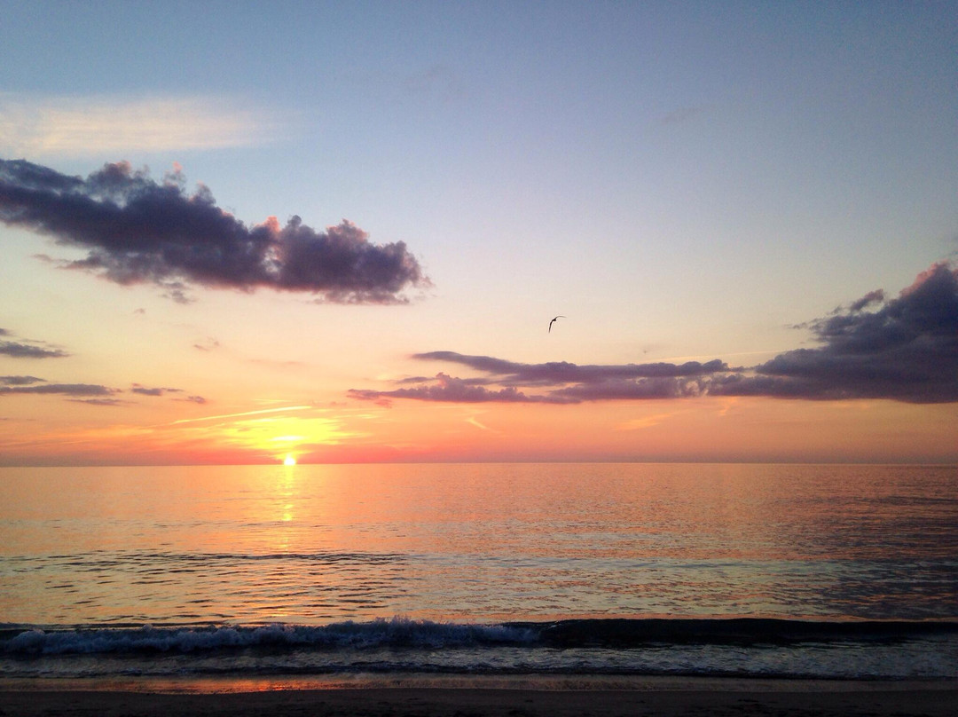 Captiva Beach-俘虏岛必去景点