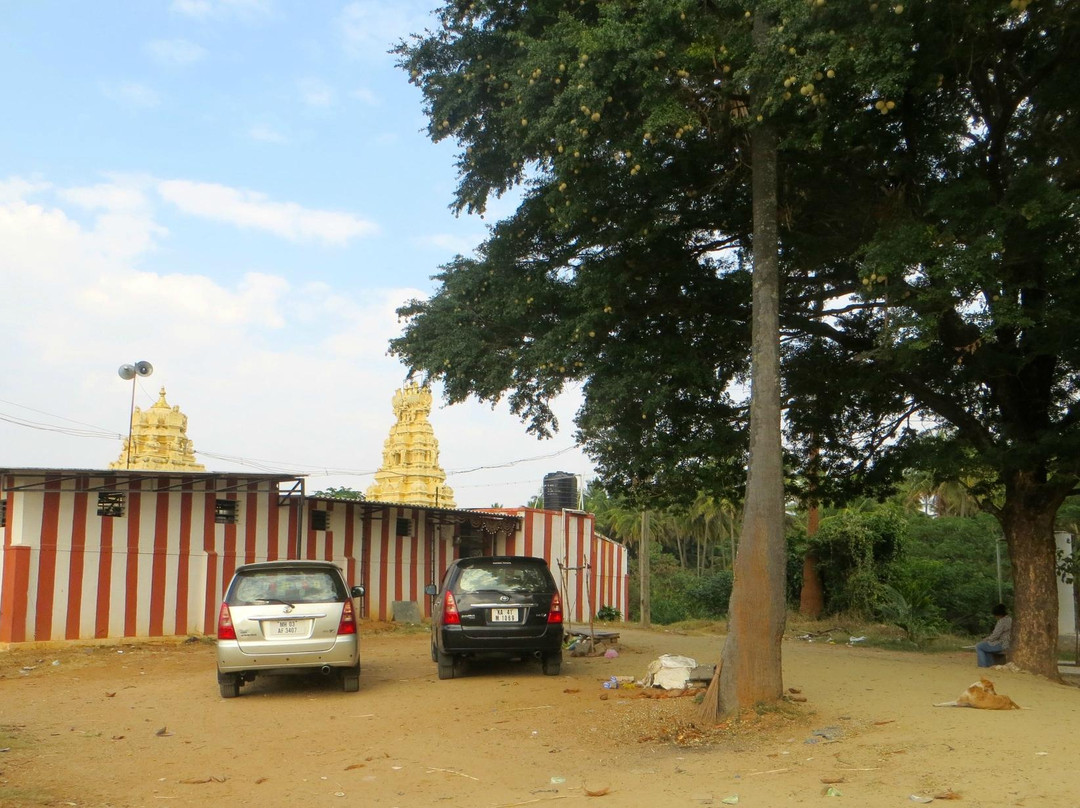 Nadi Narasimhaswamy Temple-Channapatna必去景点