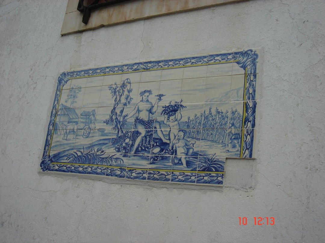 Museu Do Vinho De Alcobaca景点图片