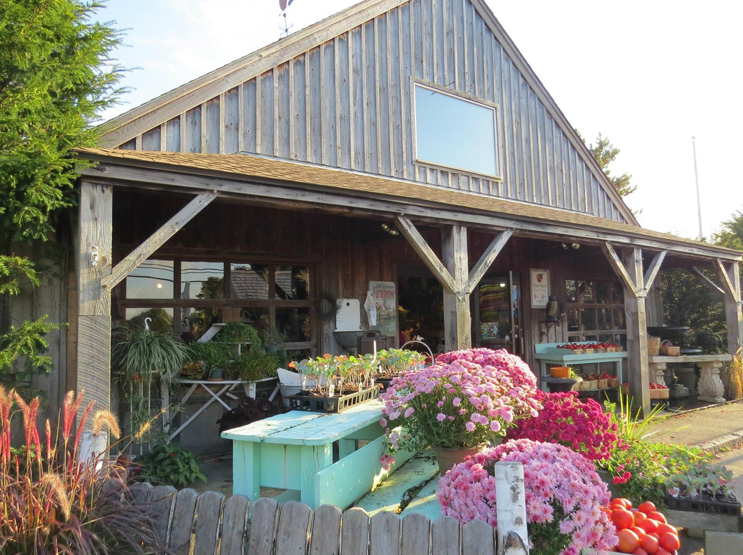 Brookdale Fruit Farm景点图片