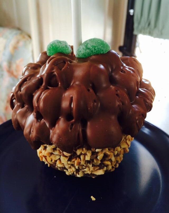 Chocolate Apple Factory-Kialla必去景点