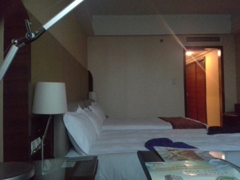 辽阳富虹国际饭店-客卧