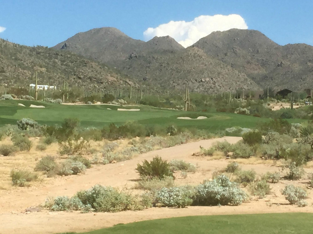 Ritz Carlton Golf Course Dove Mountain-马拉纳必去景点