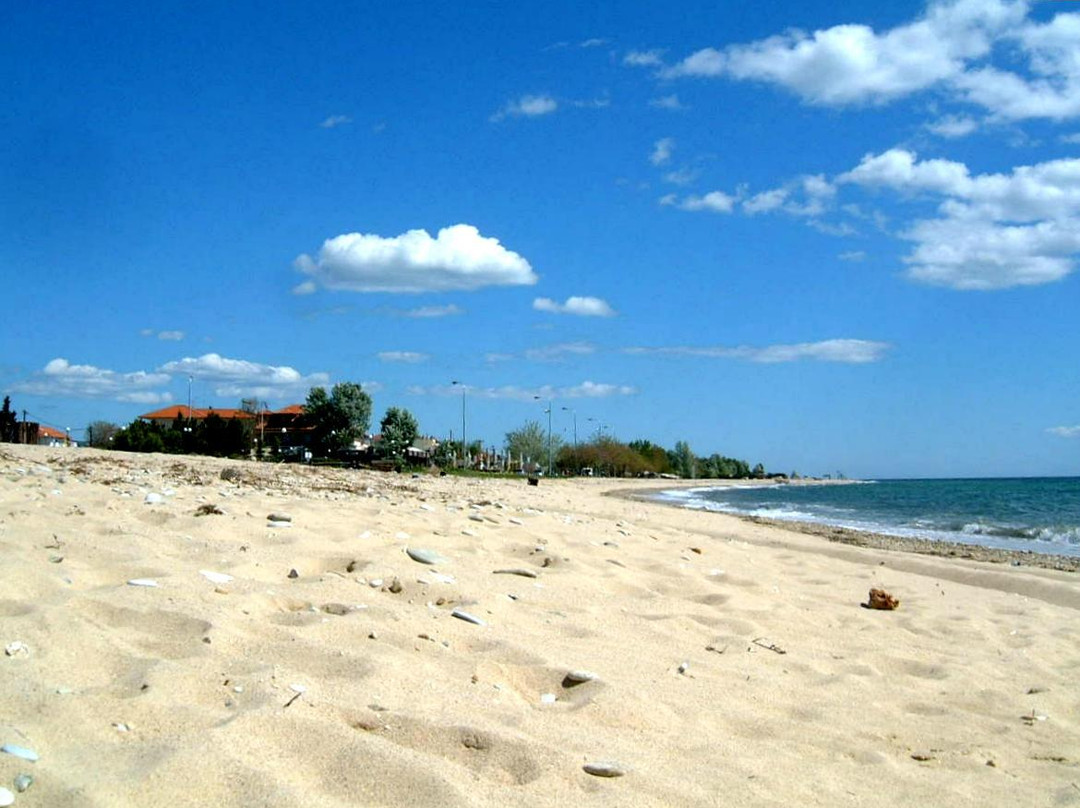 Pension Trifon主图