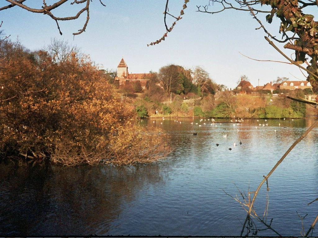 Stonebridge Pond景点图片