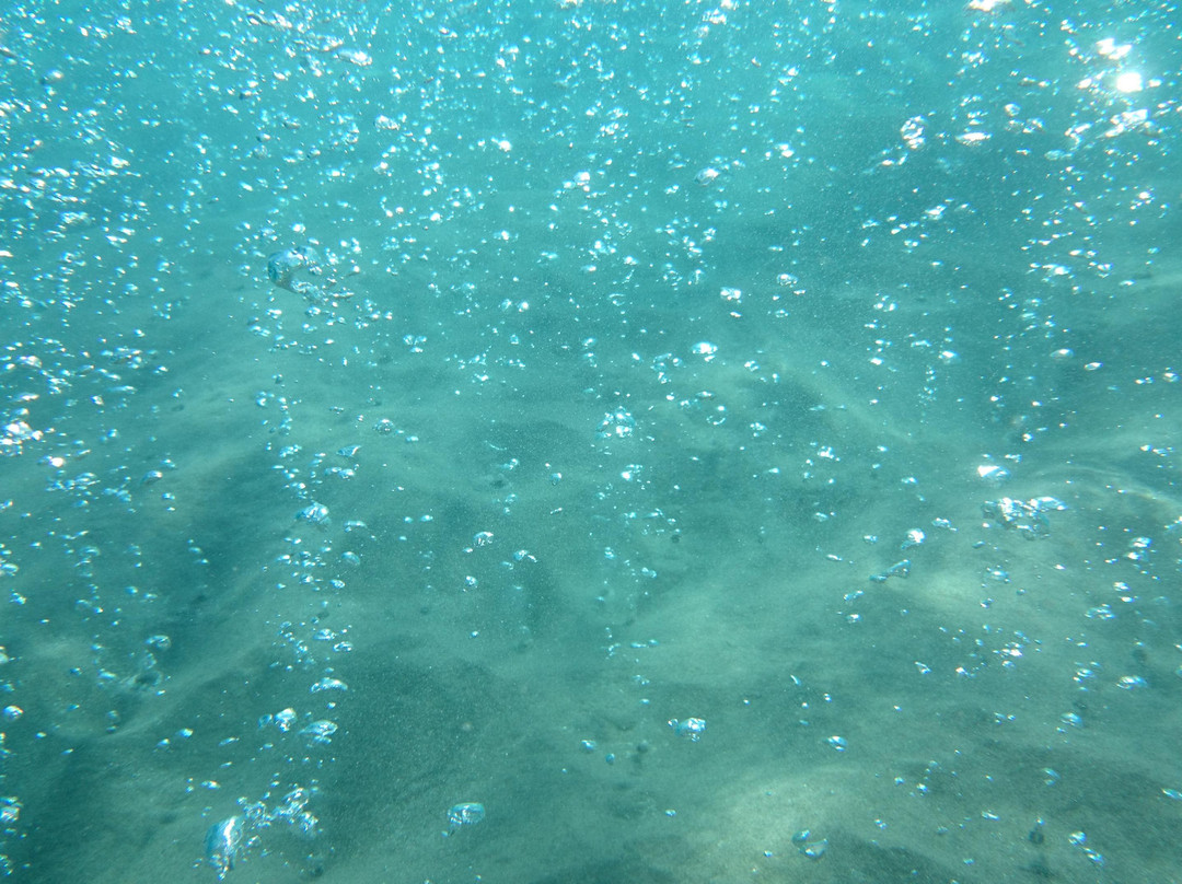 Zeus Superior Cruises-卡达米那必去景点