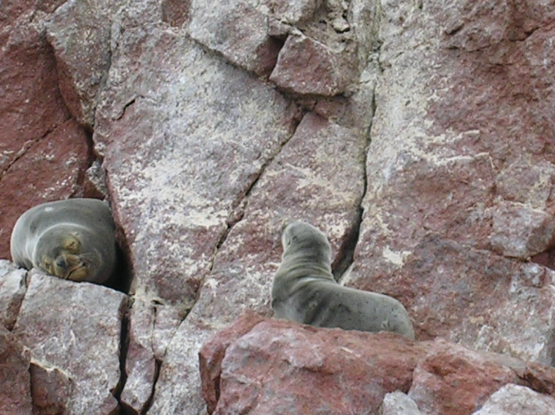 Vamos Expeditions-利马必去景点