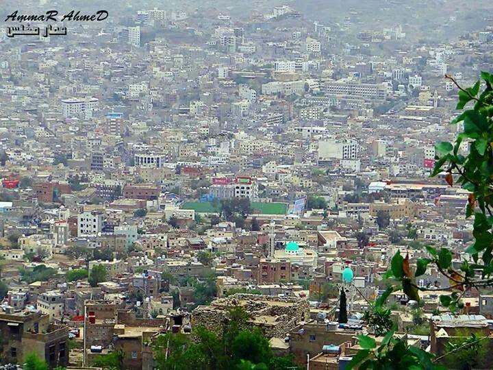 Shajarat Al Ghareeb景点图片