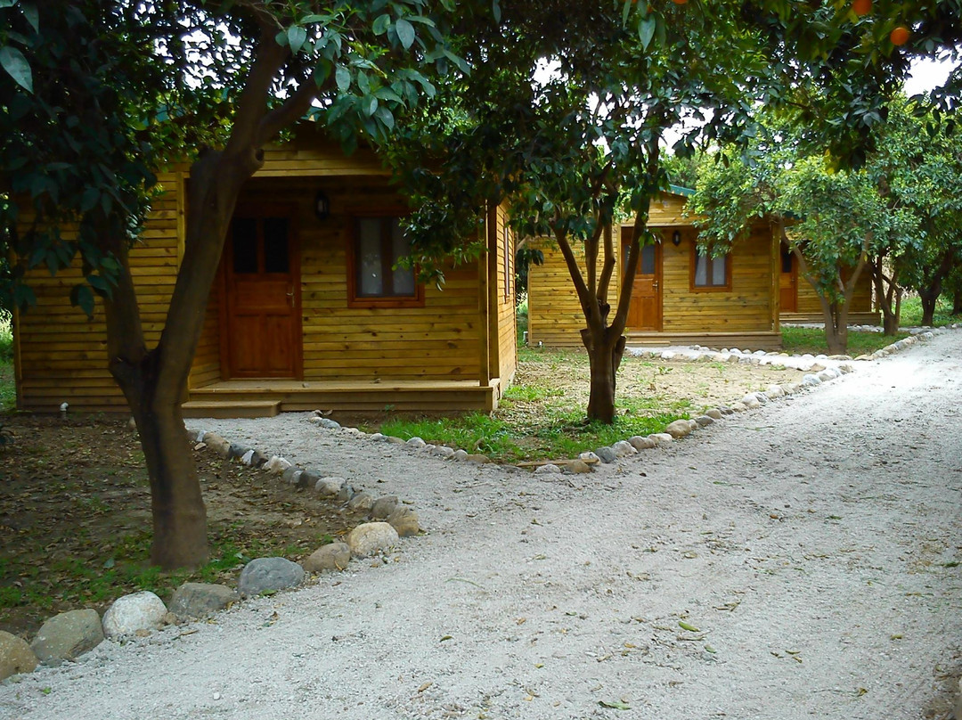 Yesil Bahce Bungalow - Ahsap Evler
