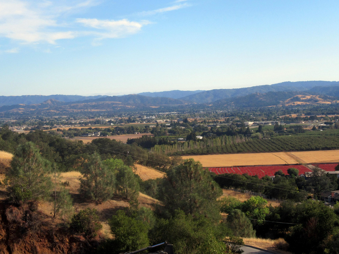Anderson Lake County Park-圣克拉拉必去景点
