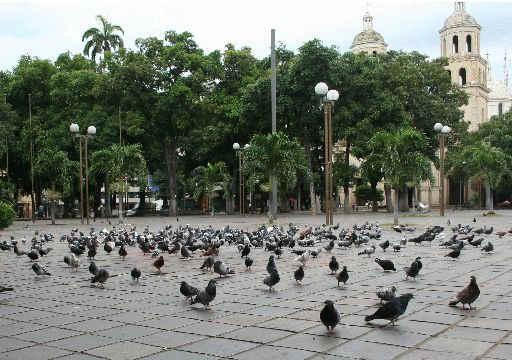 Plaza Parque Santander景点图片