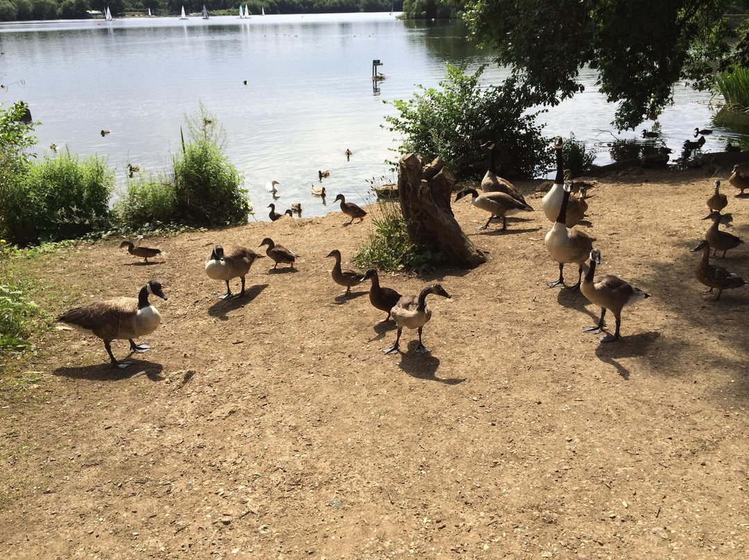 Aldenham Country Park景点图片
