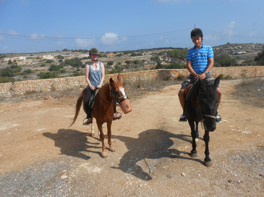 Bidnija Horse Riding-Mosta必去景点