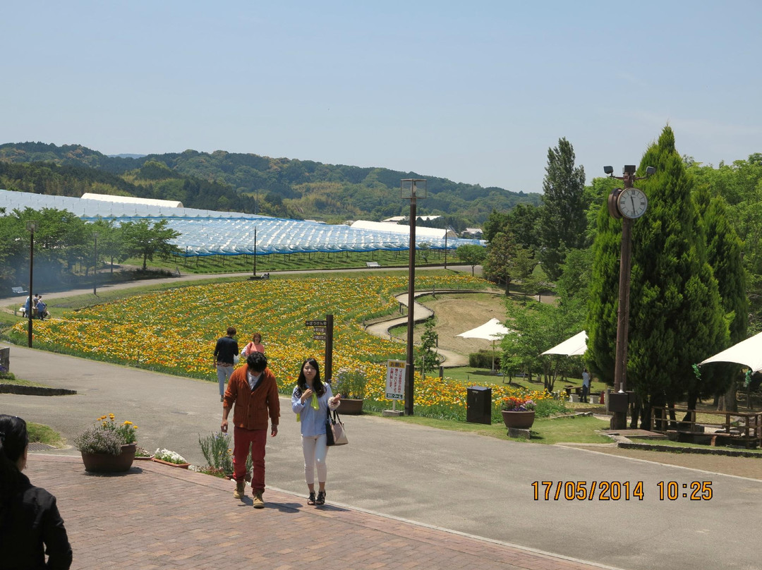 Tondabayashi Savor Farm-富田林市必去景点