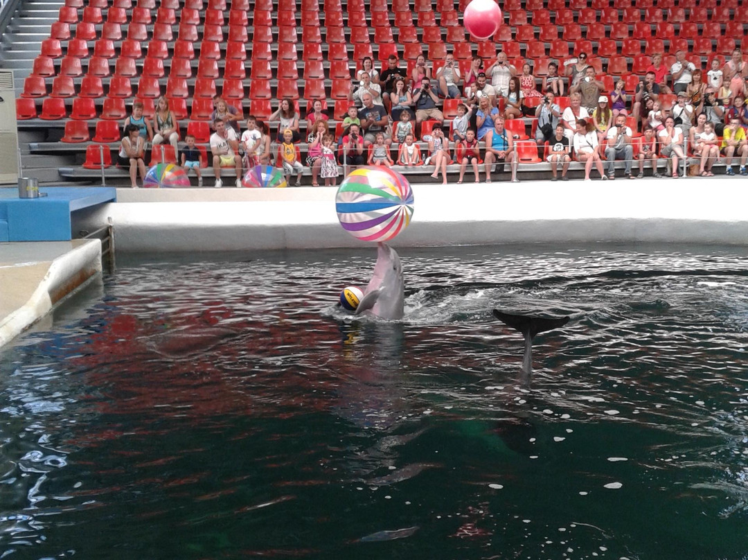 Dolphinarium-瓦尔纳必去景点