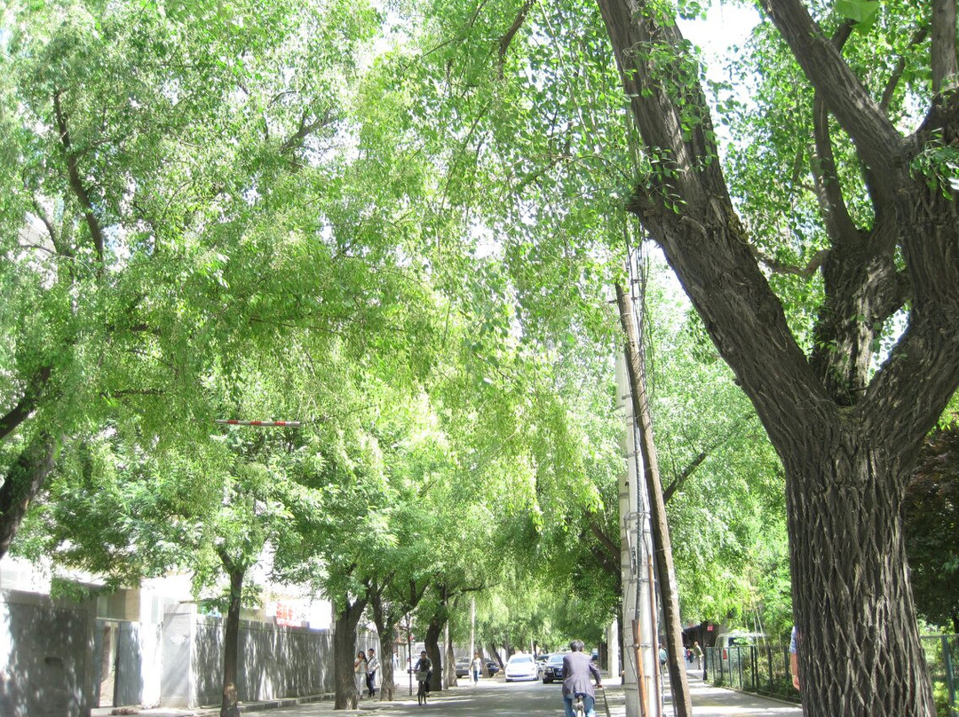 绿博园-郑州市必去景点