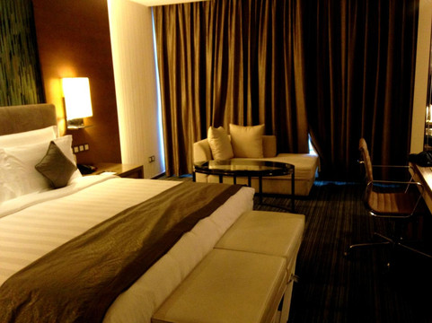 重庆丽笙世嘉酒店主图