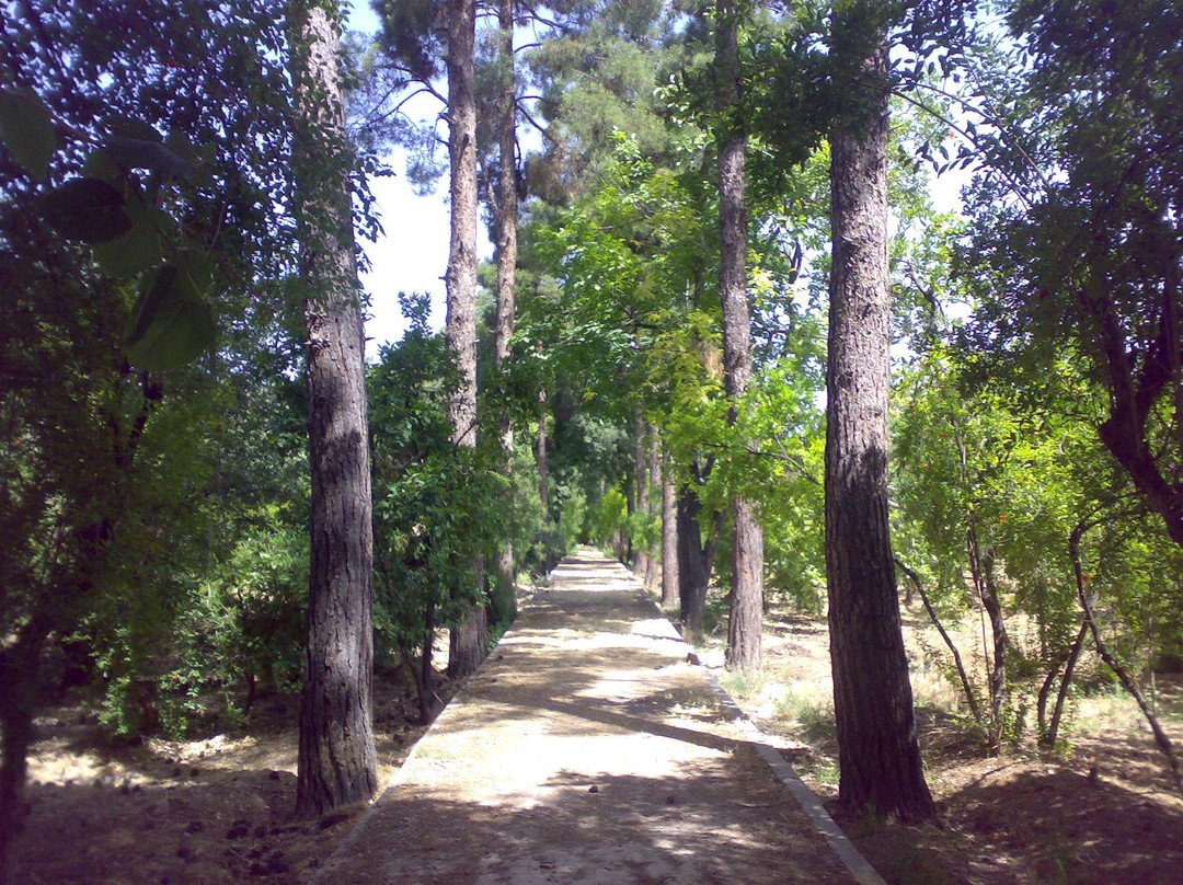 艾拉姆花园-Shiraz必去景点