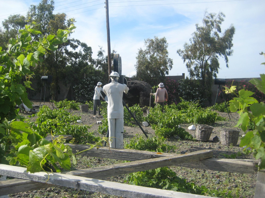 葡萄酒博物馆-Vothonas必去景点
