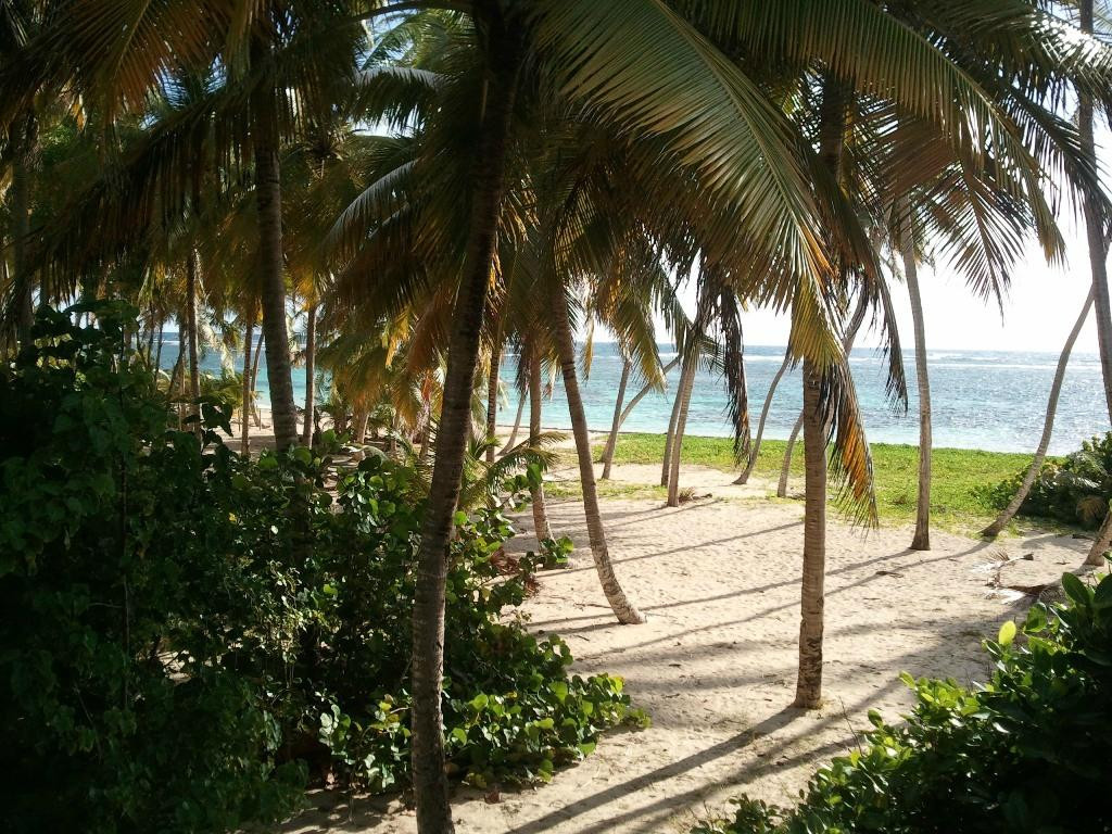 Anse Michel-Sainte-Anne必去景点