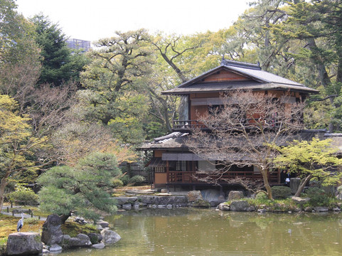 Cool Kyoto Walking Tour-京都市必去景点