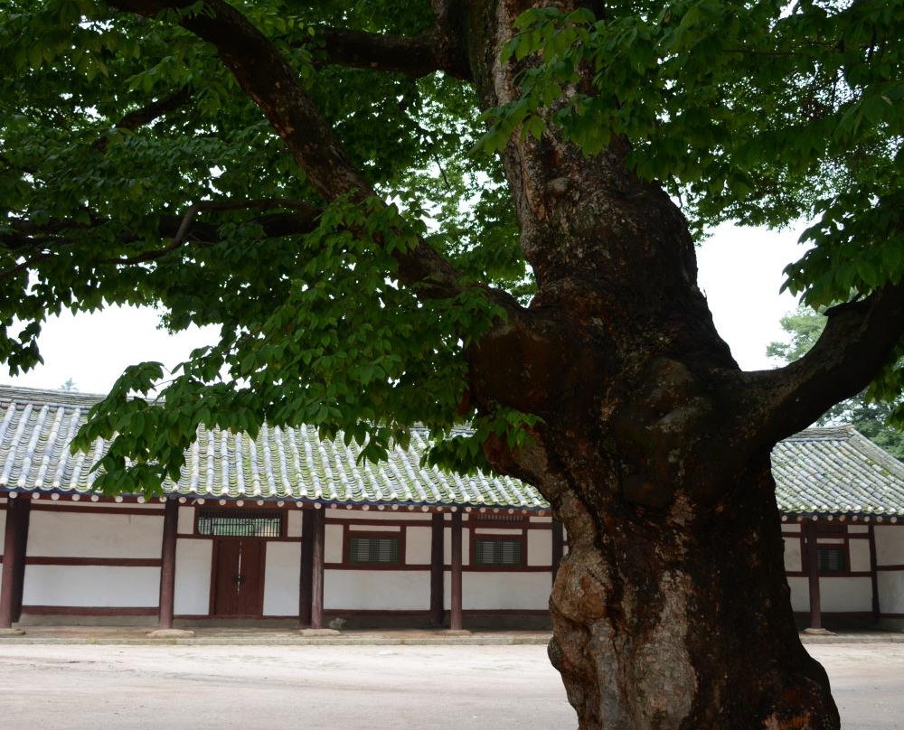 Sungkyunkwan University-Kaesong必去景点