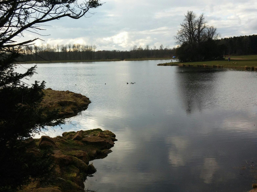 Hardwick Park-Sedgefield必去景点
