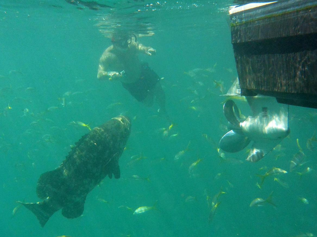 Looe Key Reef Adventures-Summerland Key必去景点