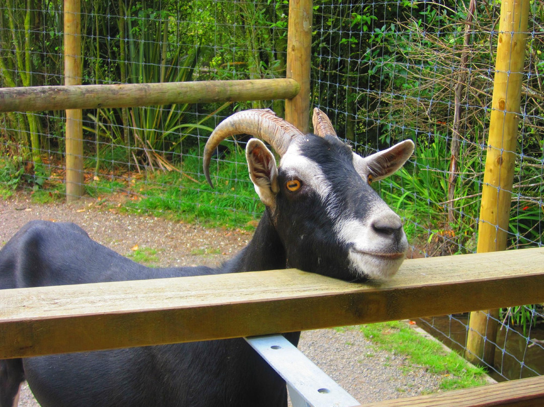 天堂谷温泉野生动物园-罗托鲁瓦必去景点