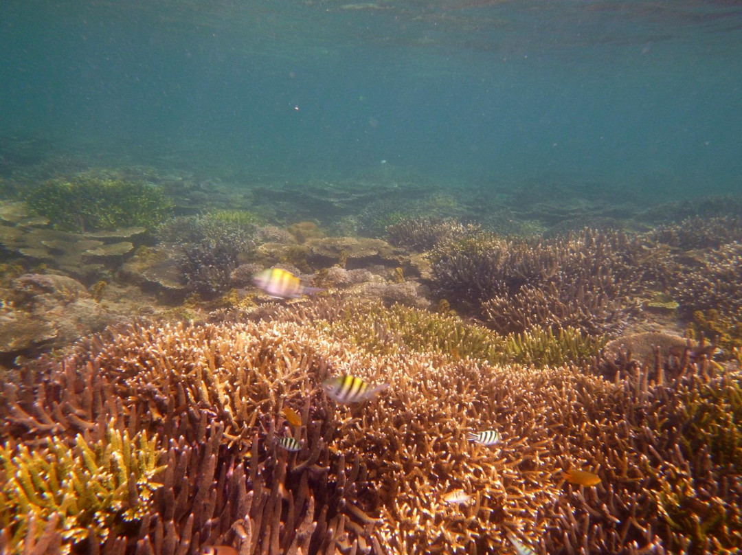 纳克潘海滩-爱妮岛必去景点