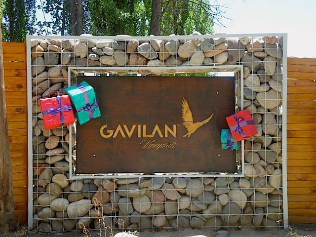 Gavilan Vineyards - Day Tours-圣拉斐尔必去景点