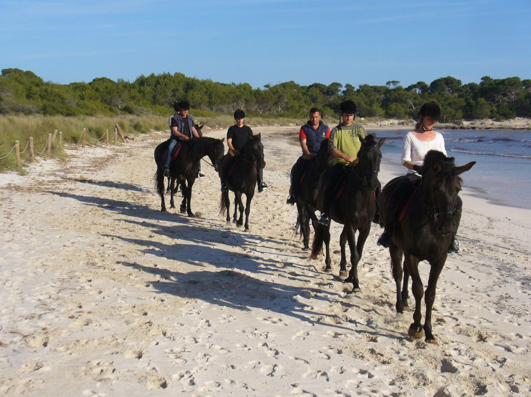 Rutas Equestres Menorca-休达德亚必去景点