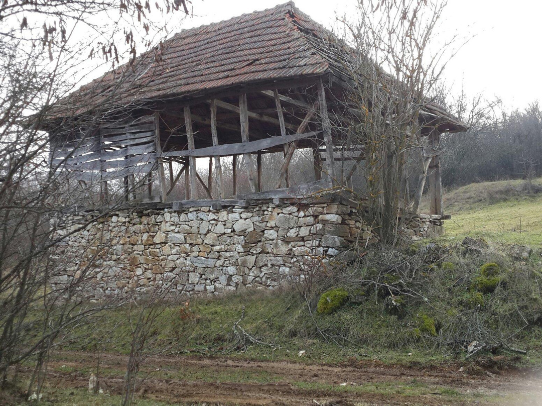 Motel Dardani