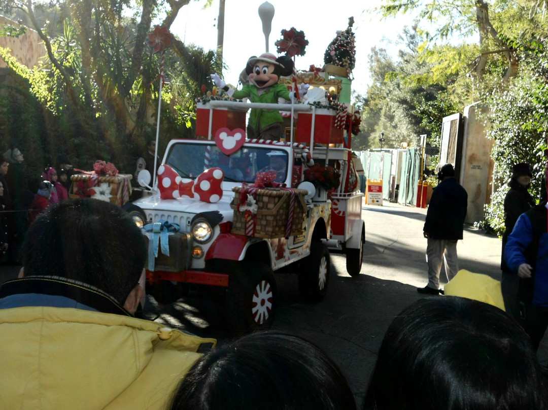 迪斯尼动物王国-奥兰多必去景点