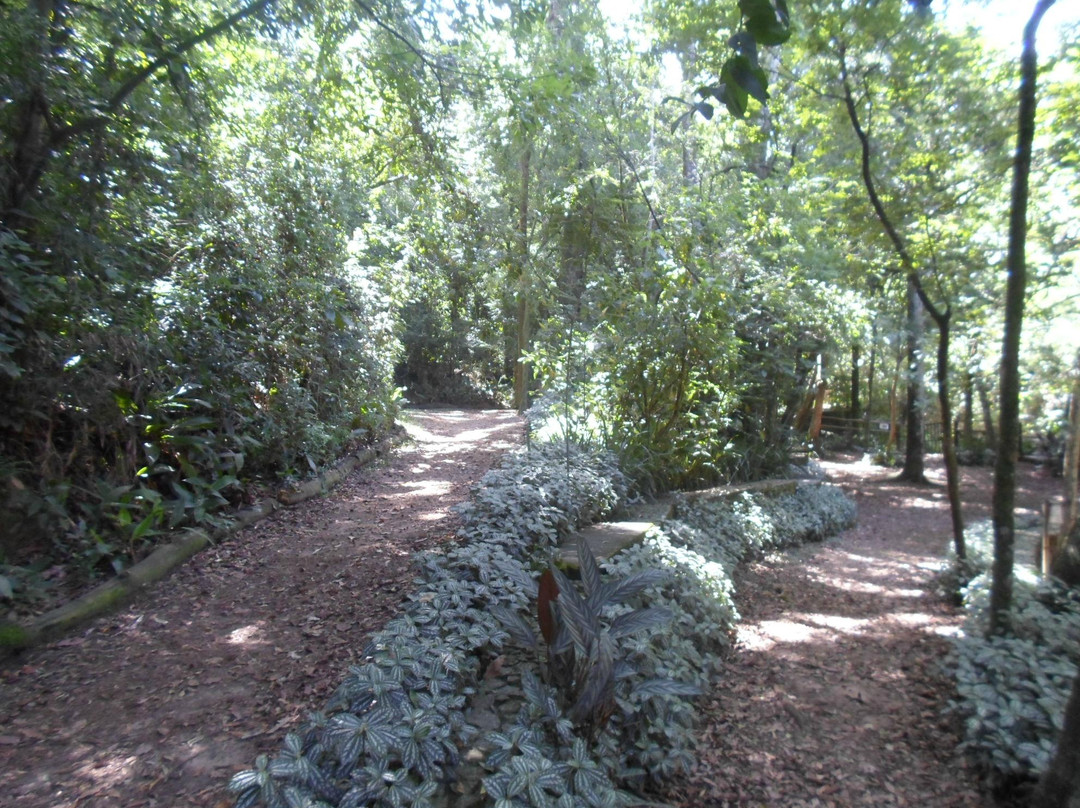 Alfredo Volpi Park-圣保罗必去景点