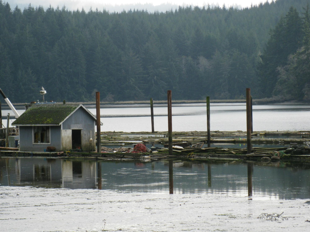 Oregon Oyster Farms-纽波特必去景点