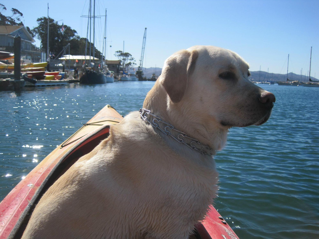 Kayak Horizons-莫罗贝必去景点