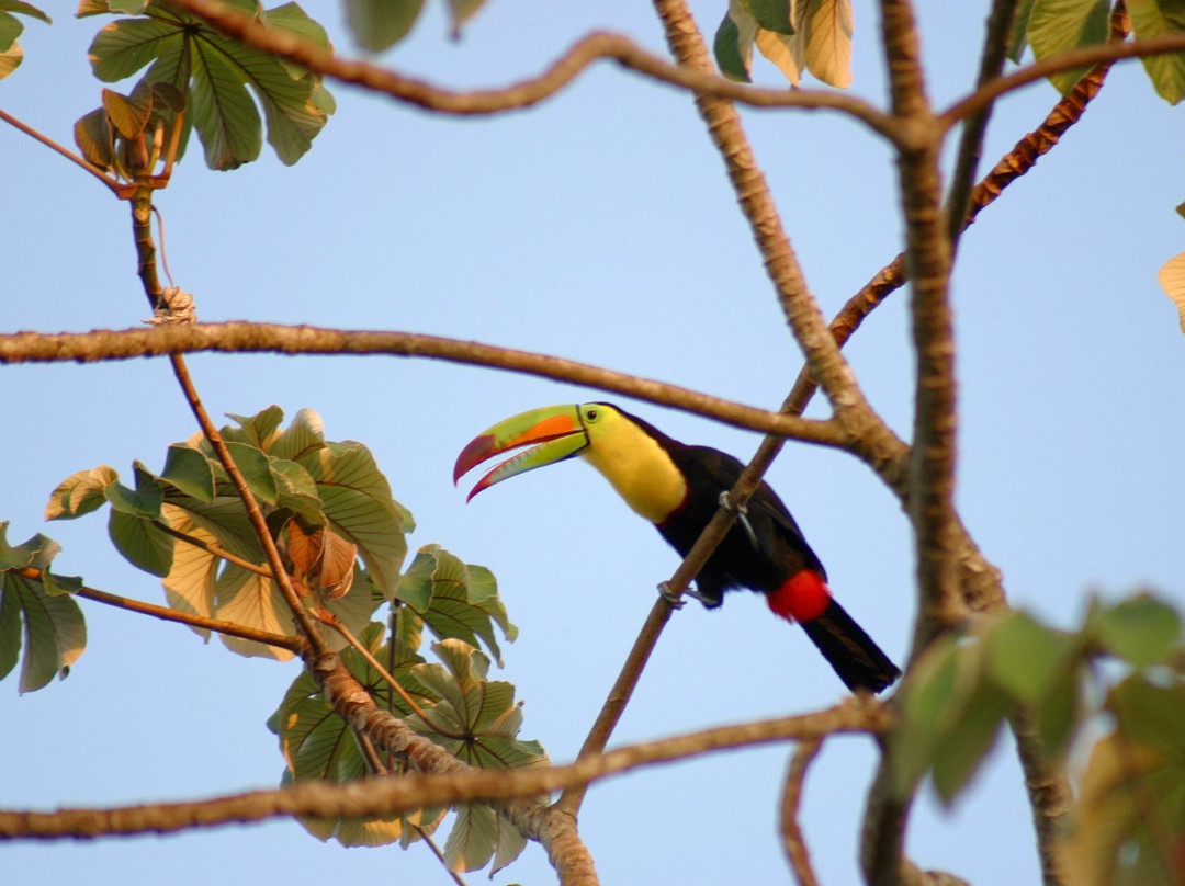 Ancon Expeditions of Panama-巴拿马城必去景点