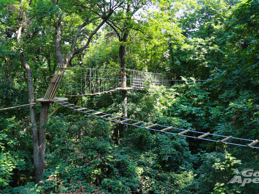 Go Ape Zipline & Adventure Park景点图片