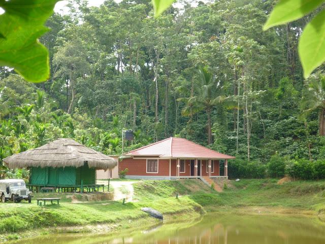 Coorg Guest House-泳池
