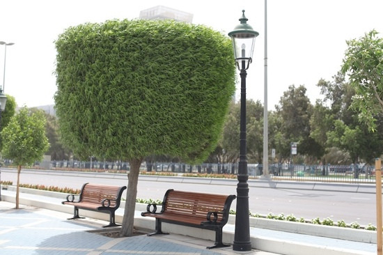 滨海大道-阿布扎比必去景点