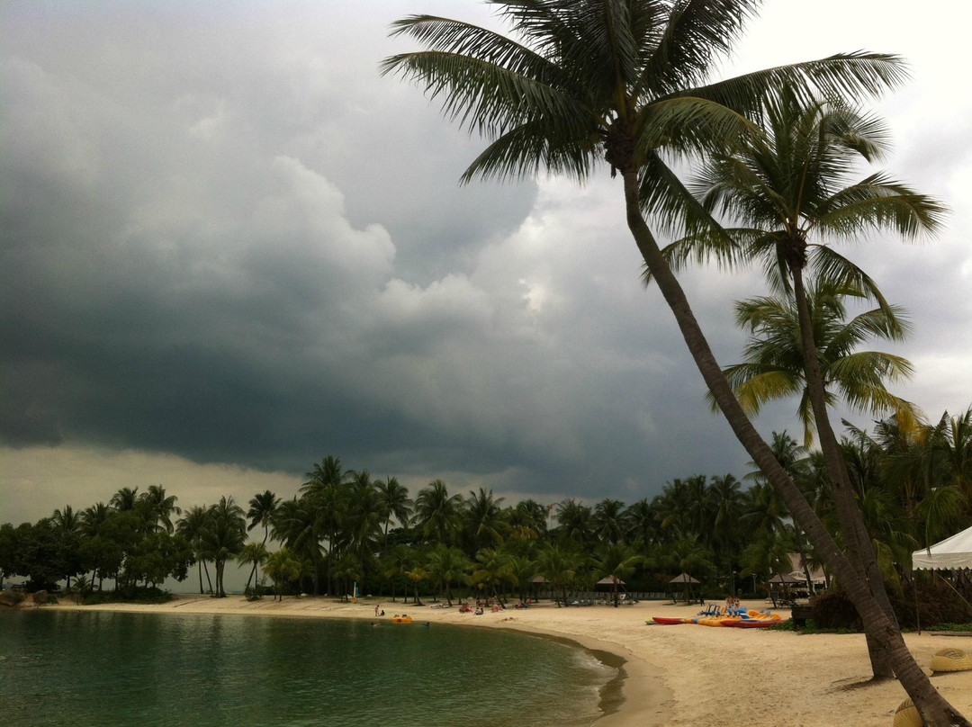 下畅游圣淘沙自然探索中心-圣淘沙岛必去景点