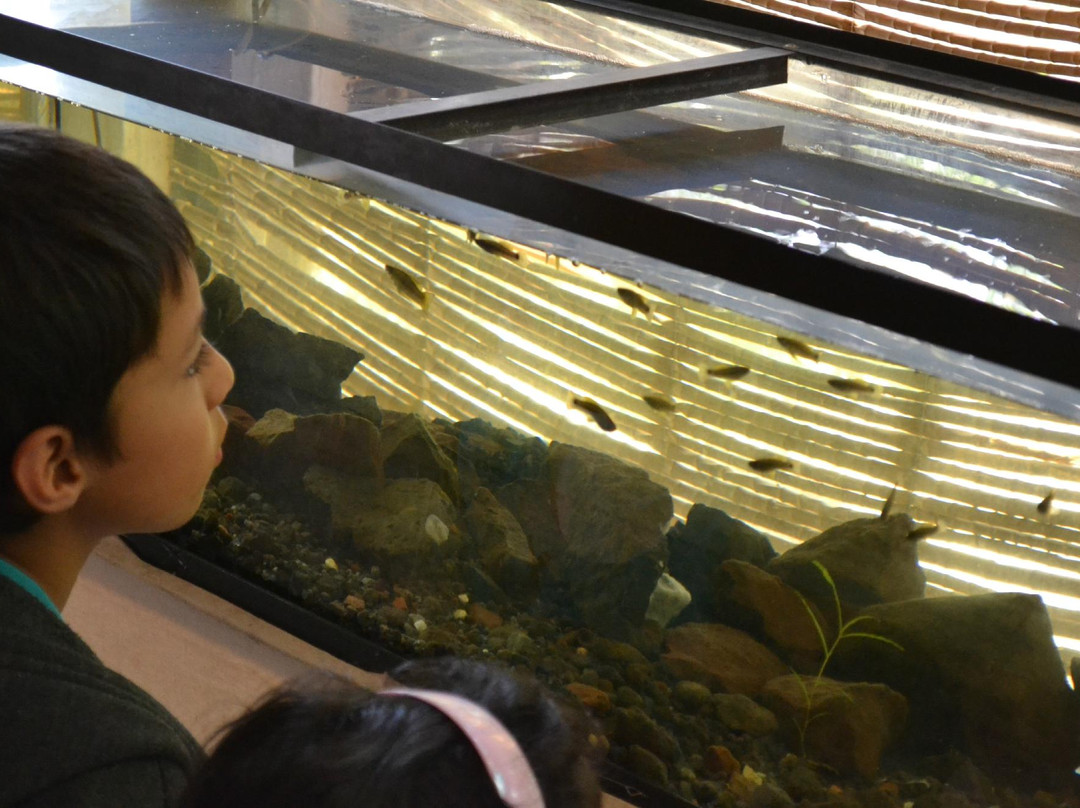 Museo Vivo-Malinalco必去景点