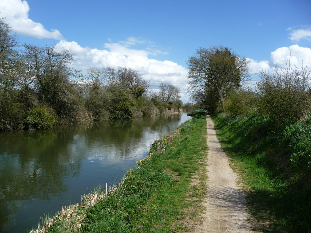 Chichester Ship Canal Trust景点图片
