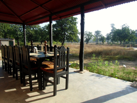 Tala Camp Bandhavgarh
