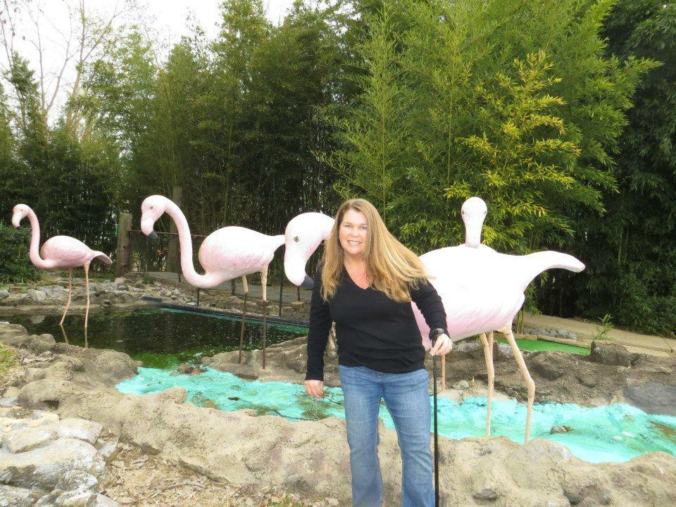 Southern Adventures-亨茨维尔必去景点