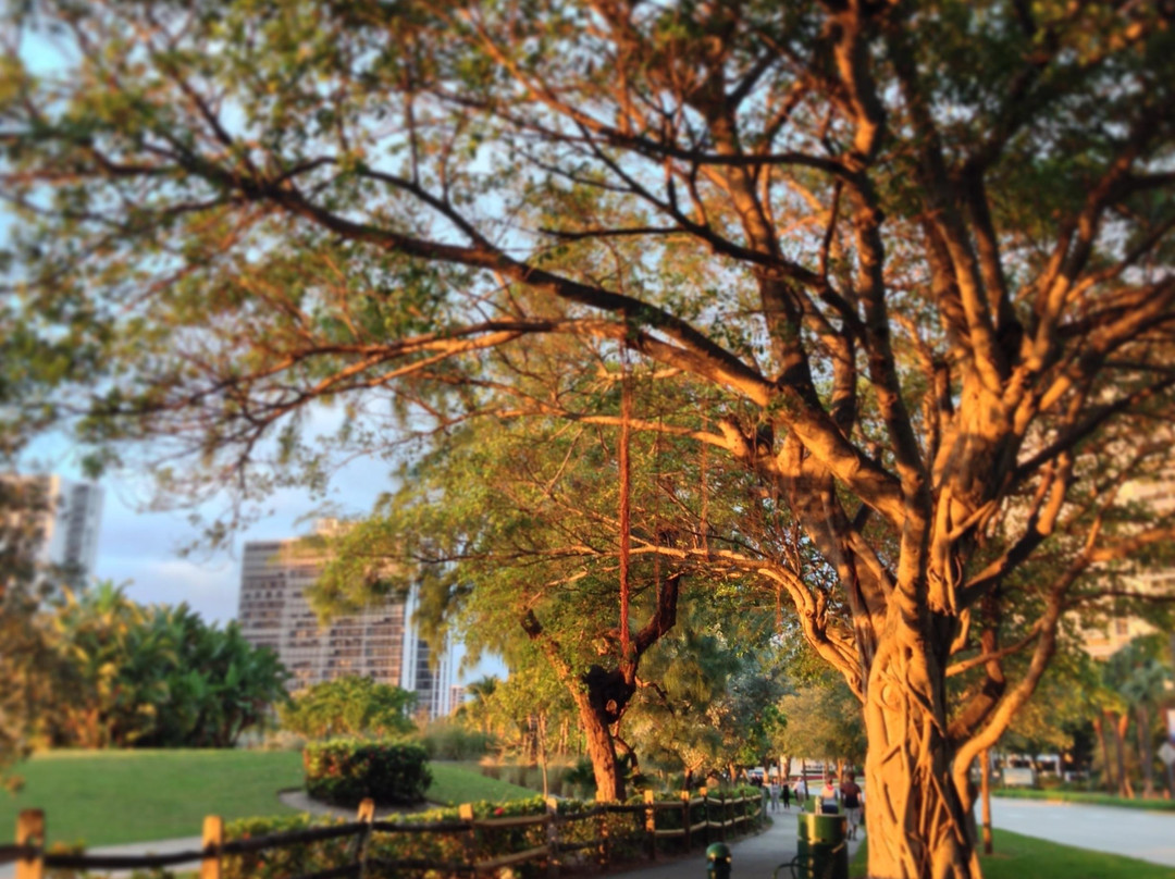 Aventura Circle-阿文图拉必去景点