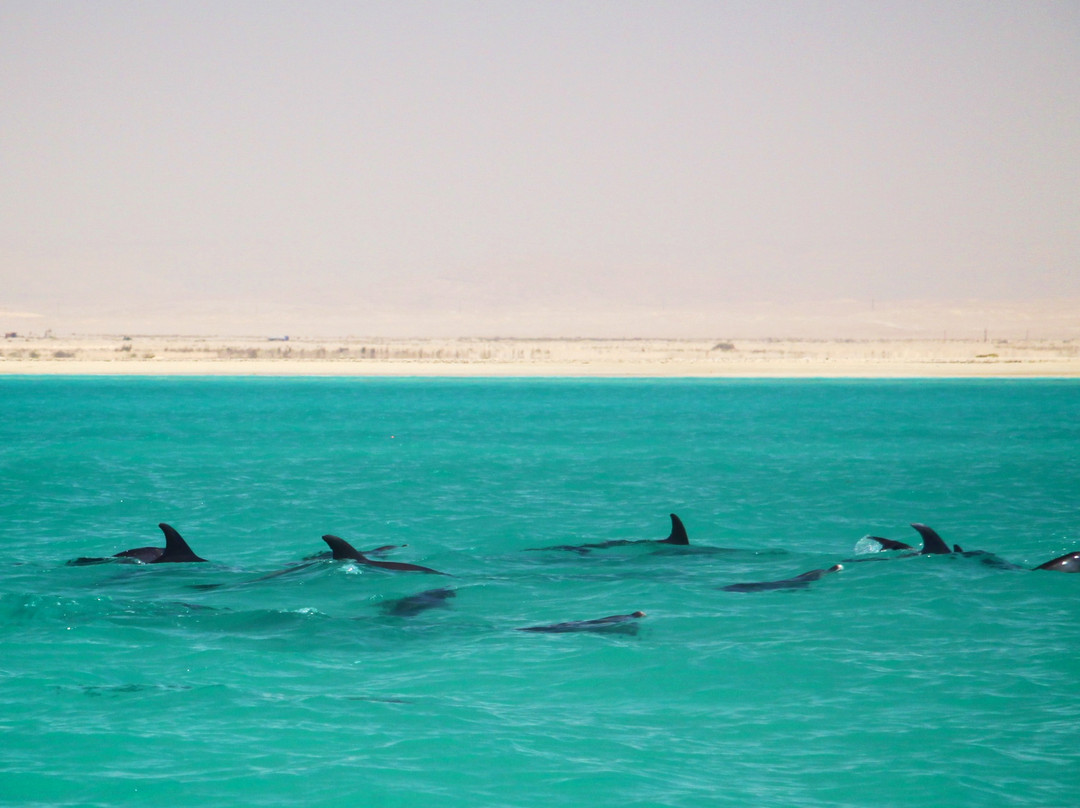 Fun-Kite-雷斯苏勒必去景点