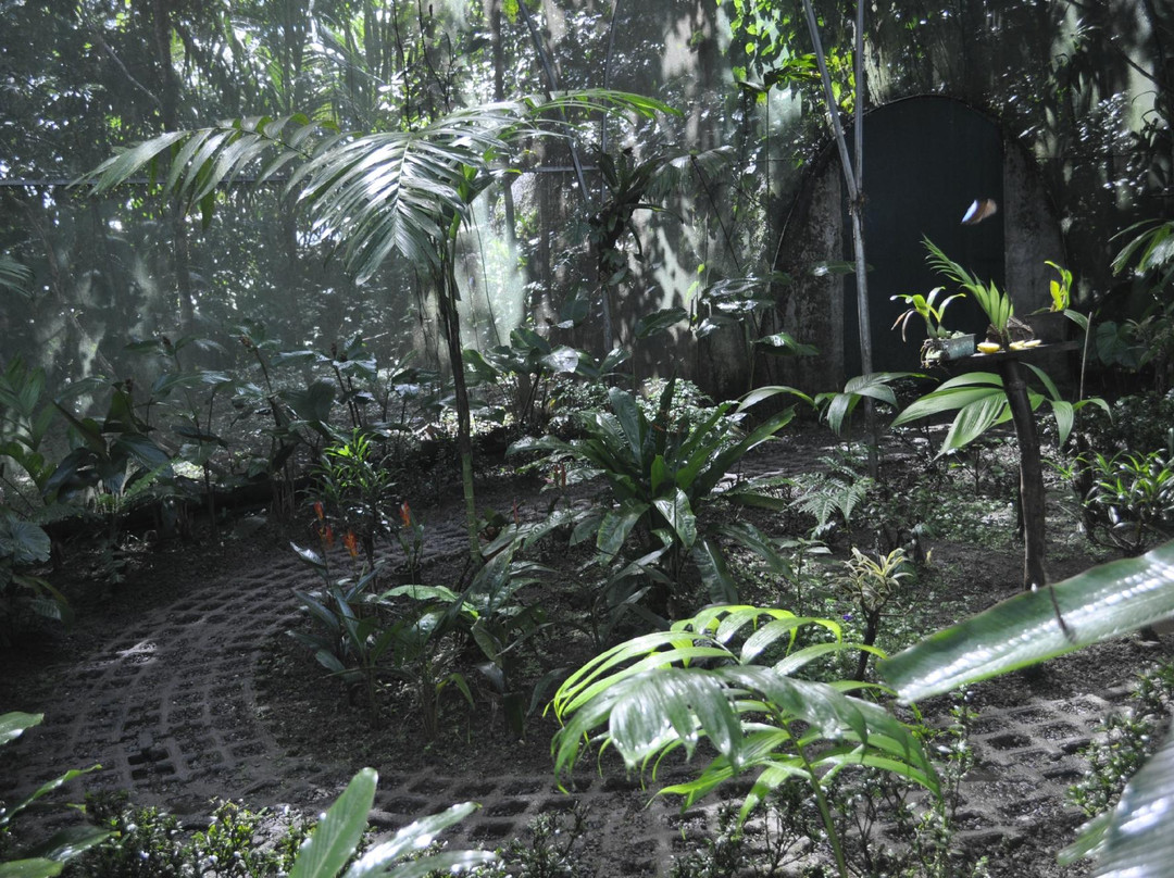 The Motmot Jungle-福德圣卡洛斯必去景点