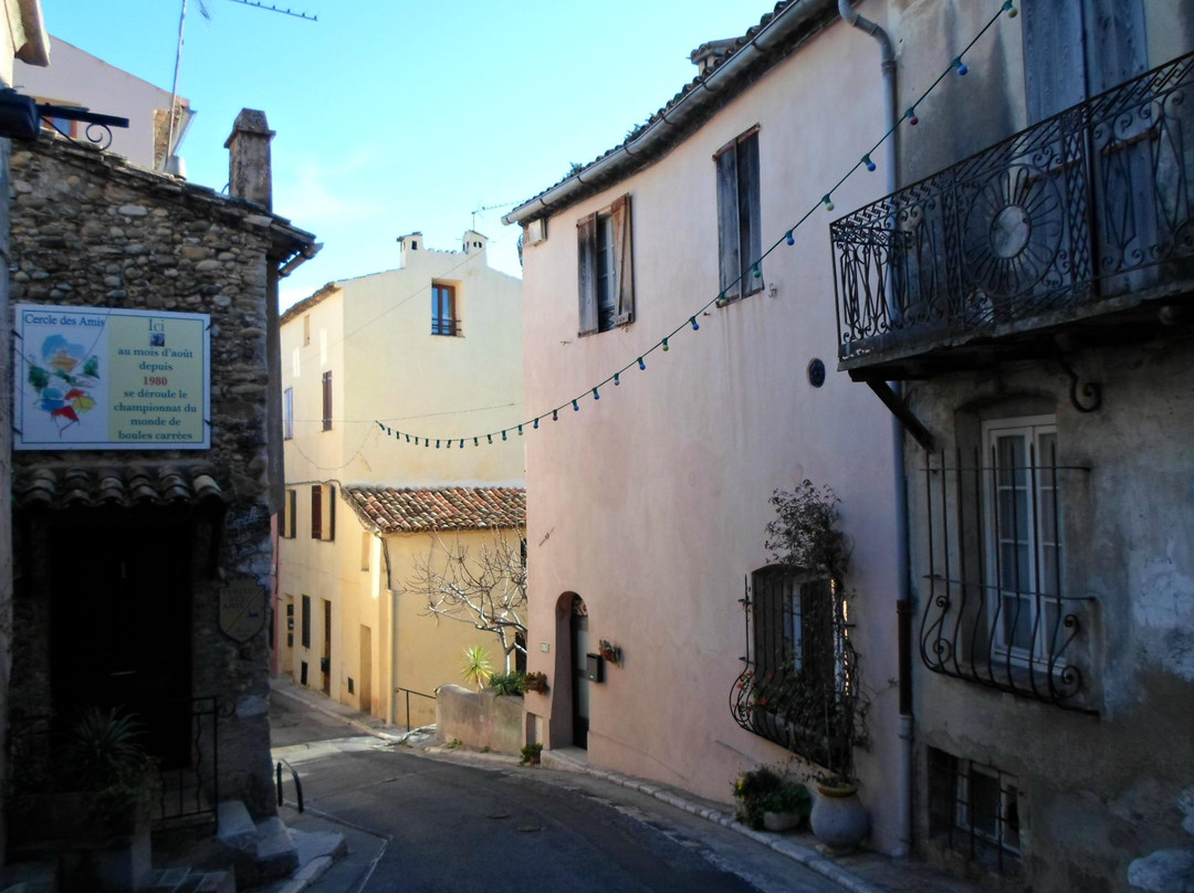 Château-Musée Grimaldi景点图片